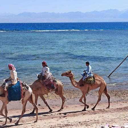 Cinderella Camp Nuweiba Hotel Kültér fotó